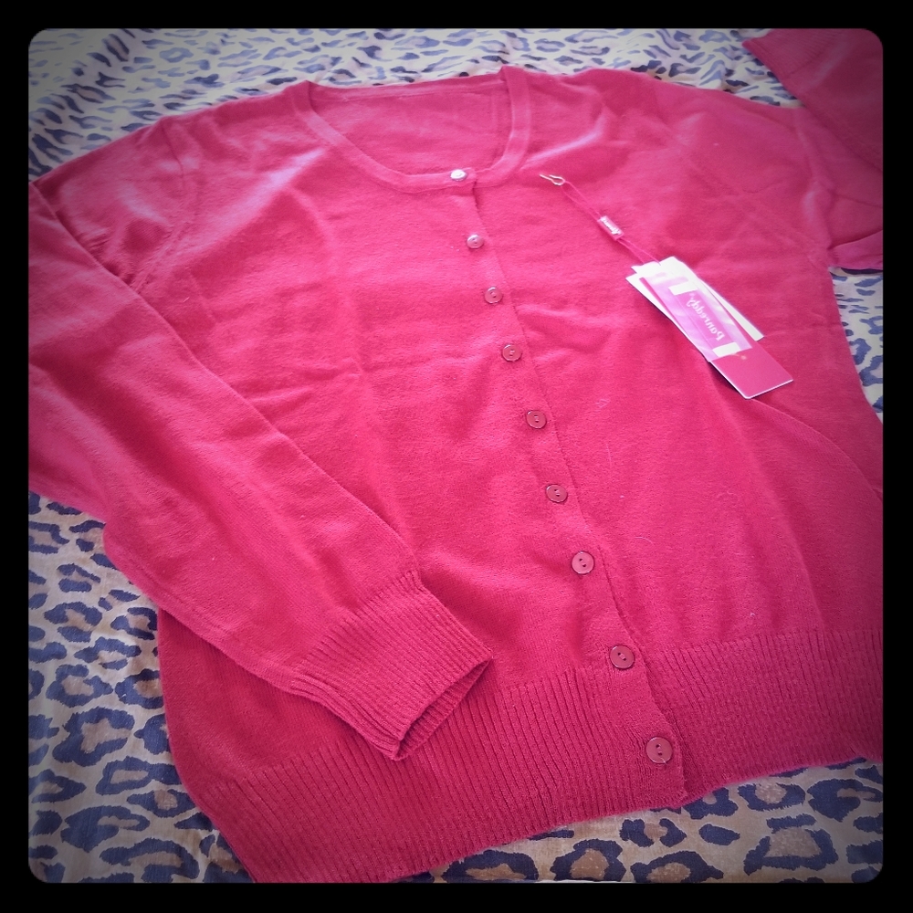 New Panraddy Cashmere blend fall/spring sweater